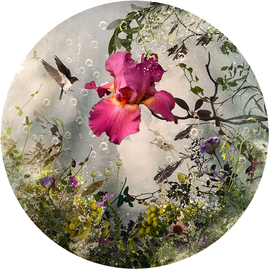 Arcadia, C Print, Plexi Face Mounted On Aluminum Panel, - Saatchiart (900x904), Png Download