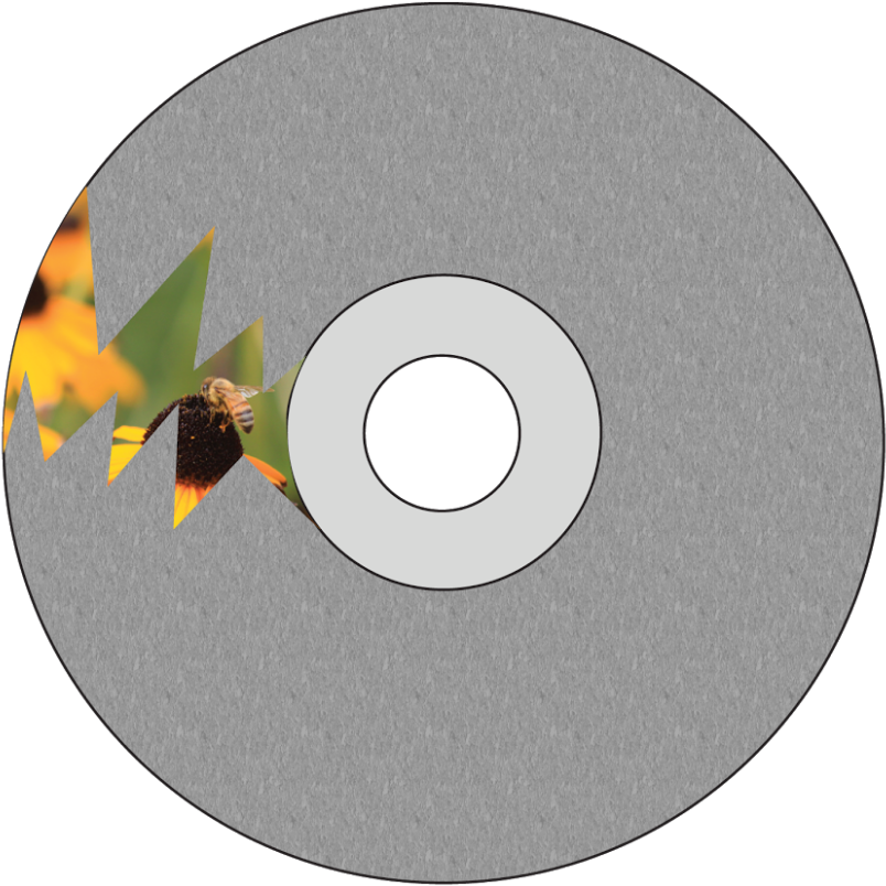 Movie Vs - Reality - Dvd Disc (900x871), Png Download