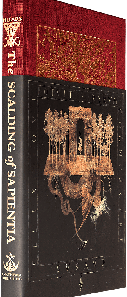 The Scalding Of Sapientia - Book Cover (1000x1000), Png Download