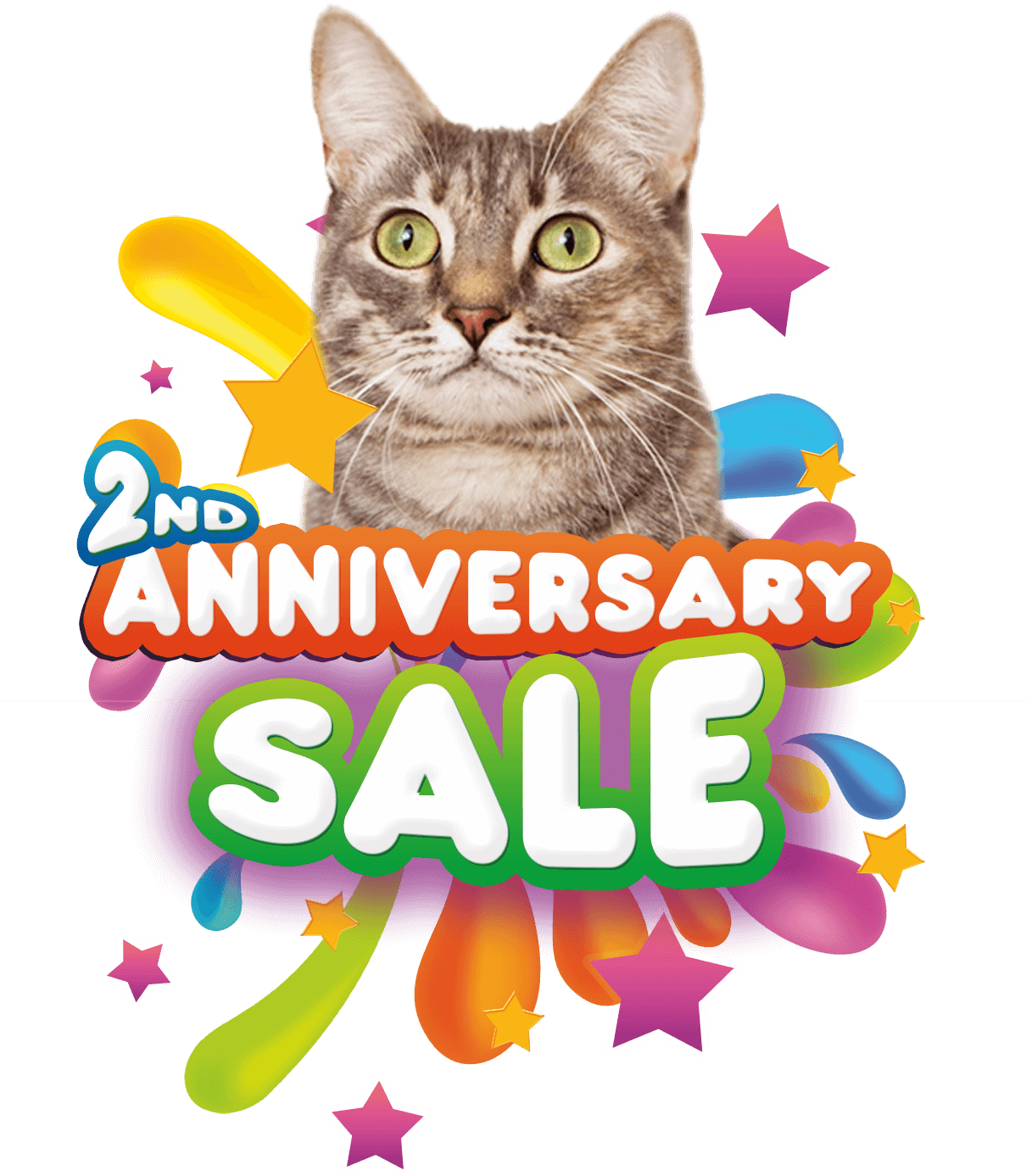 Enjoy 10% Off For Cat Hotel & Grooming Service - Kids Events (1275x1613), Png Download