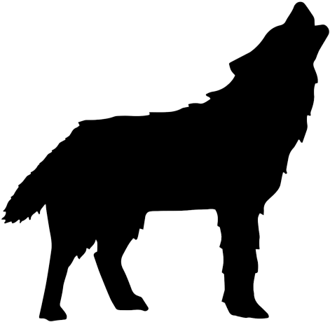 Wolf - Alpaca Black And White Png (590x590), Png Download