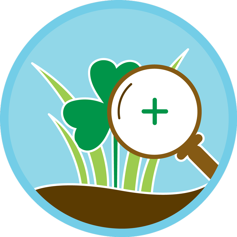 Profile Provides On-site Consultation To Assure The (780x780), Png Download