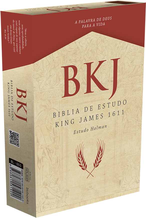 Biblia King James Holman Caixa - Biblia De Estudo King James (935x935), Png Download