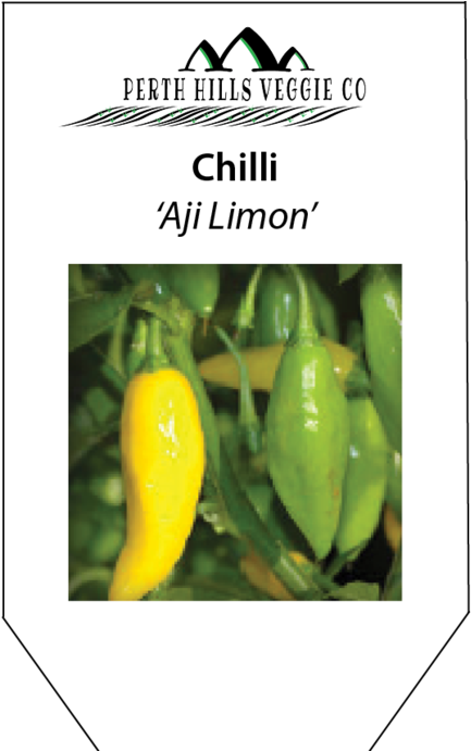 Chilli 'aji Limon' - Aji Limo (690x690), Png Download