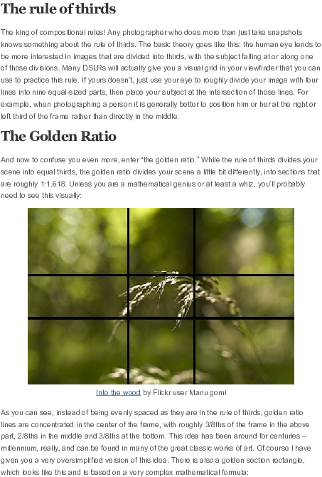 Docx - Tree (595x842), Png Download