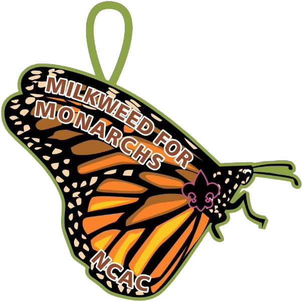 Scouts Take Part In Monarch Butterfly Conservation - Monarch Butterfly (627x637), Png Download
