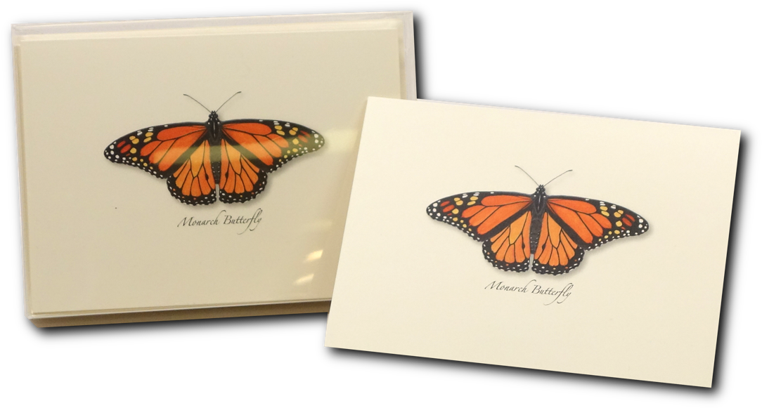 Shopping Cart -  -  - Monarch Butterfly (1200x1200), Png Download