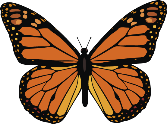 Monarch Butterfly Vector (612x792), Png Download