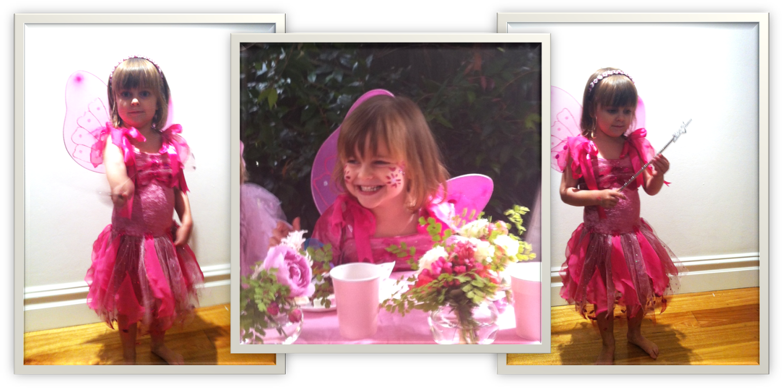 One Of These Styrofoam Wig-heads - Common Peony (1600x799), Png Download