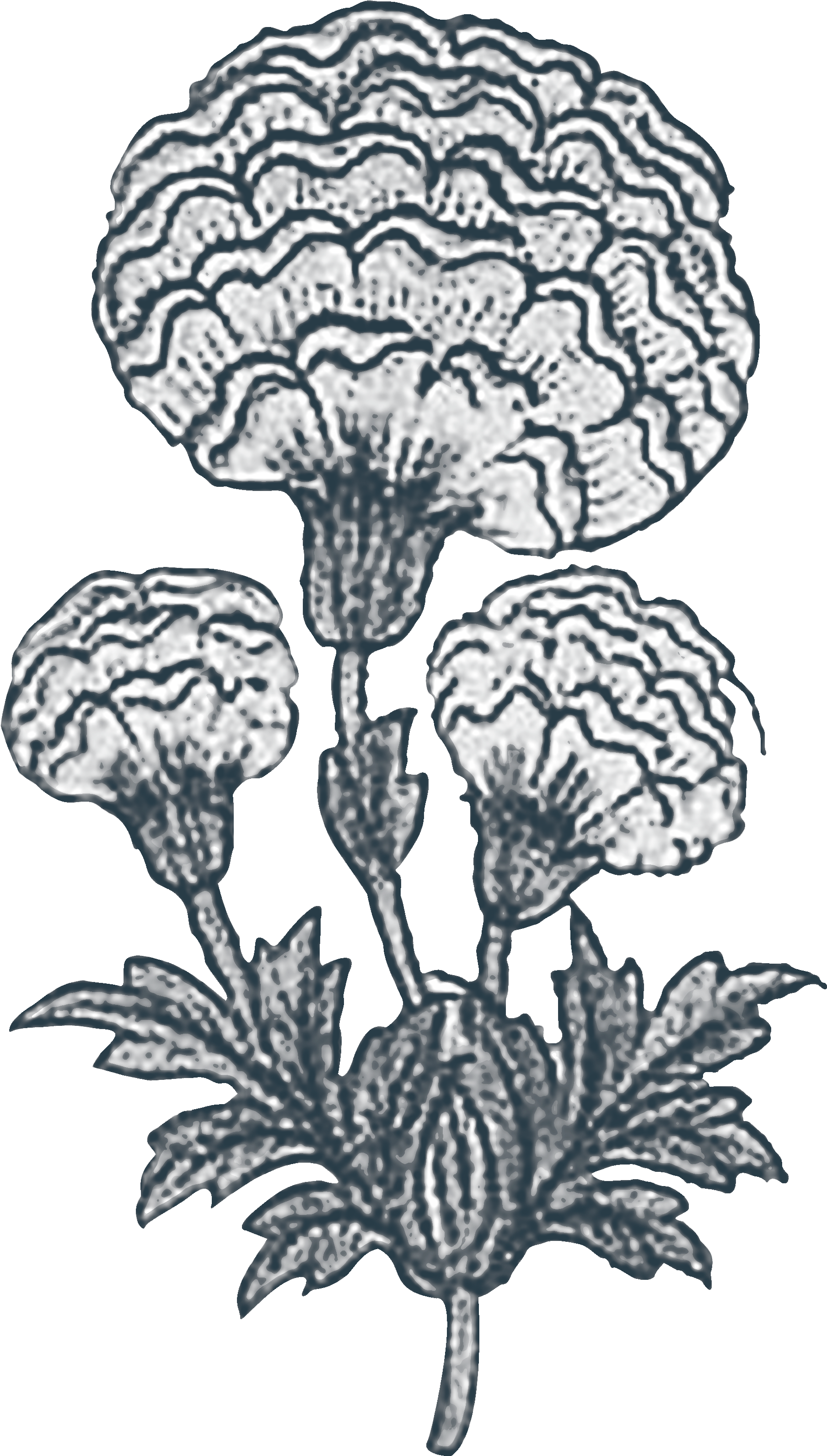 Our Story - Sketch (2400x3784), Png Download