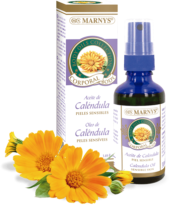 Ap213 - Calendula Oil - Aceite De Calendula (766x768), Png Download