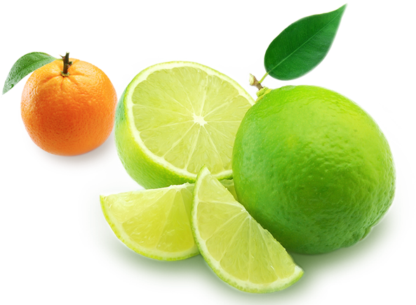 Dubai Web Design Services - Persian Lime (700x479), Png Download