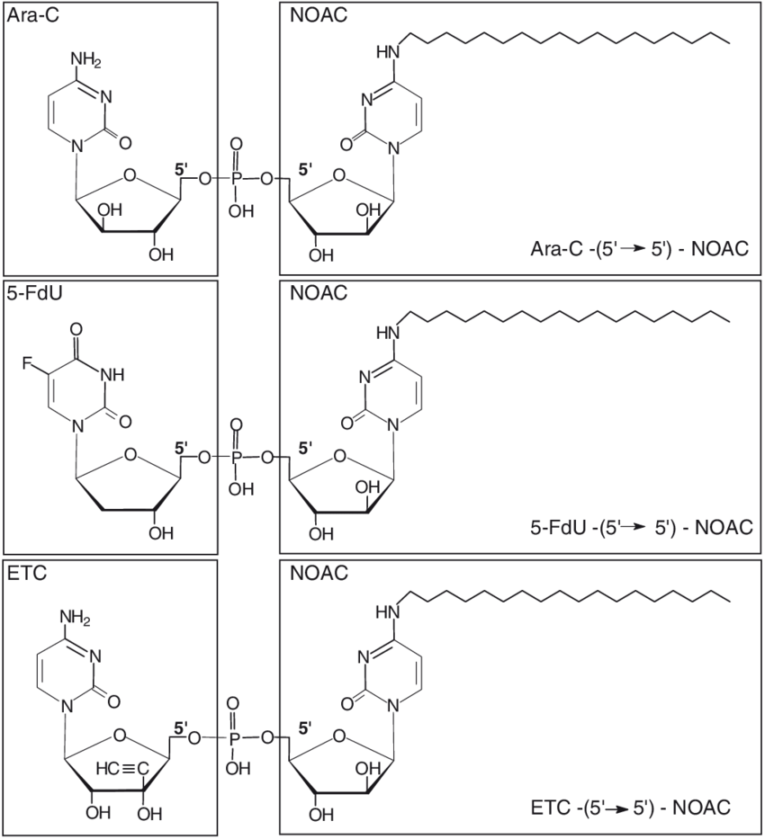 Chemical Structures Of The 5¢ → 5¢ Phosphodiester Duplex - Diagram (850x933), Png Download
