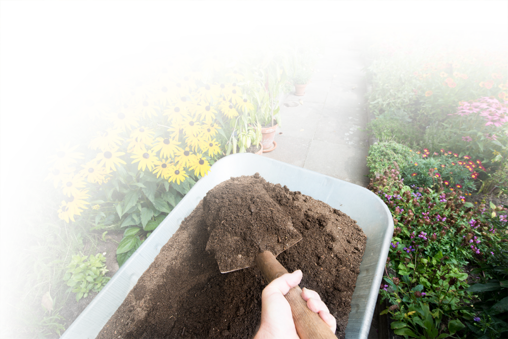 Istock-911970388 - Field (1000x668), Png Download