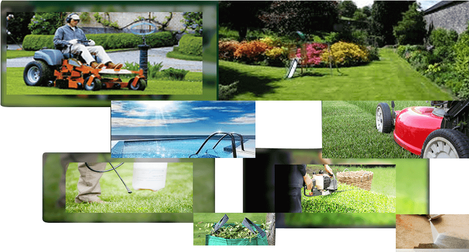 Download Professional Lawn And Garden Care Provider Brisbane Yard Maintenance PNG Image with