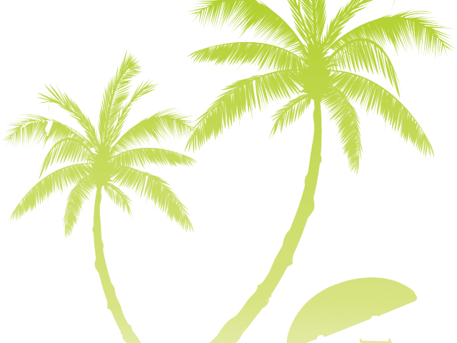 Sunset Clipart Coconut Tree - Attalea Speciosa (640x480), Png Download