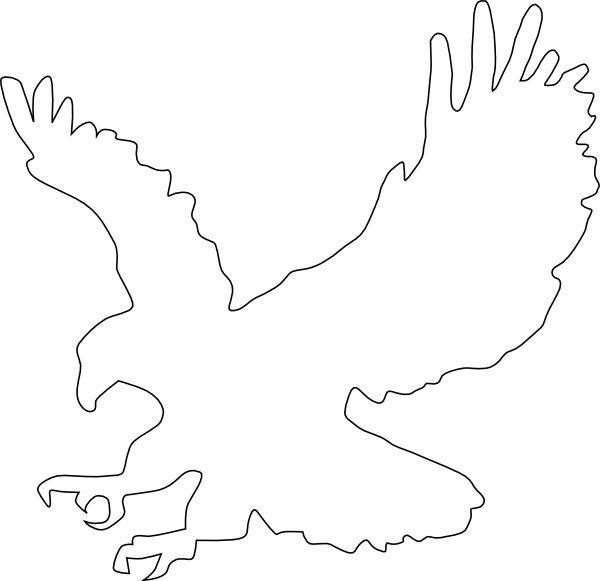 Wedge Tailed Eagle Outline (600x581), Png Download