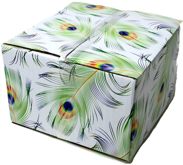 6x6x4 Peacock Designer Boxes - Insect (650x590), Png Download