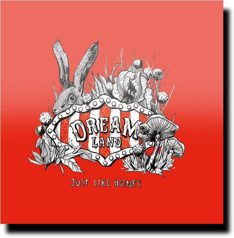 Looking For Deluxe Box Cds And Limited Editions You - Graphic Design (965x958), Png Download