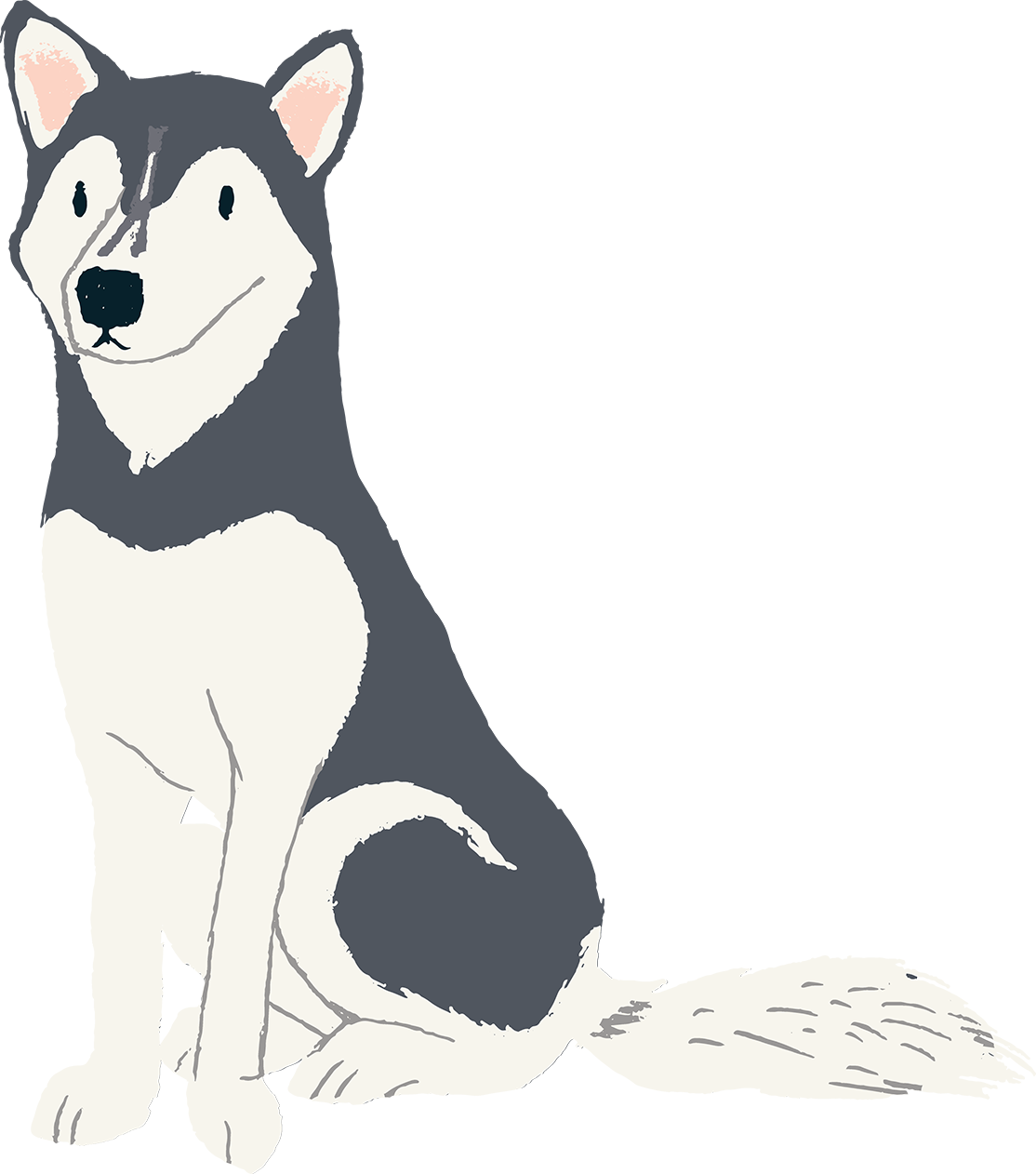 Husky - Sakhalin Husky (1114x1262), Png Download