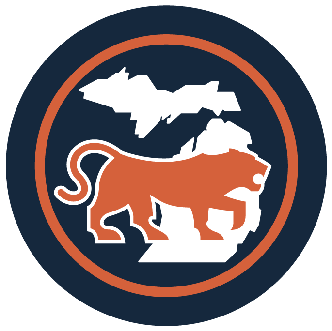 Detroit Tigers Washington Nationals Game Coverage Results - 2017 Detroit Tigers Logo (1000x800), Png Download