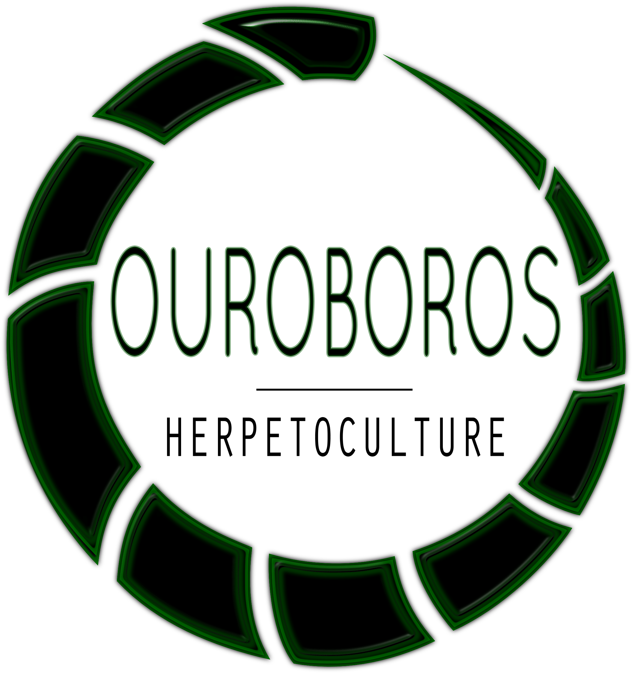 Ouroboros Png (2267x2385), Png Download