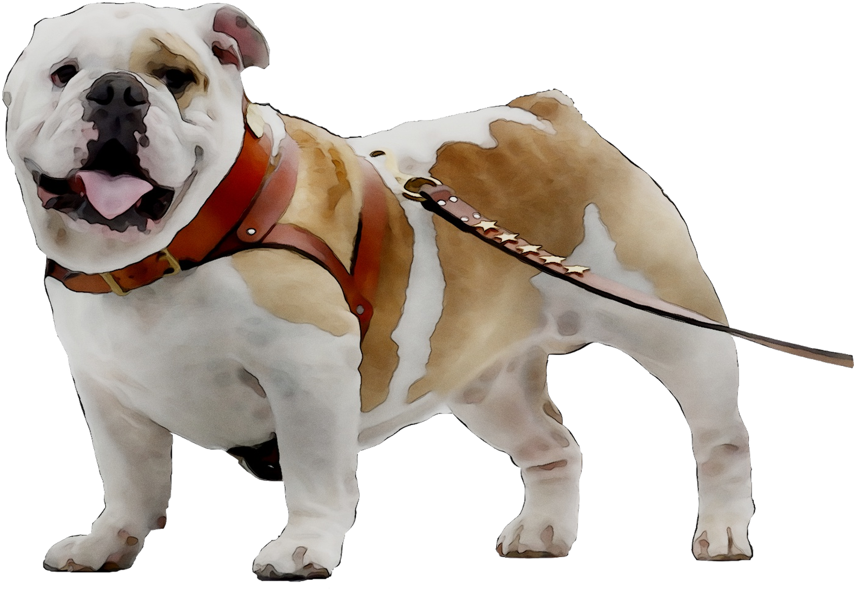 Toy Bulldog Breed Dog Companion Bulldogge Olde Clipart - Olde English Bulldogge (1935x1548), Png Download