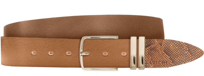 Buckle (700x495), Png Download