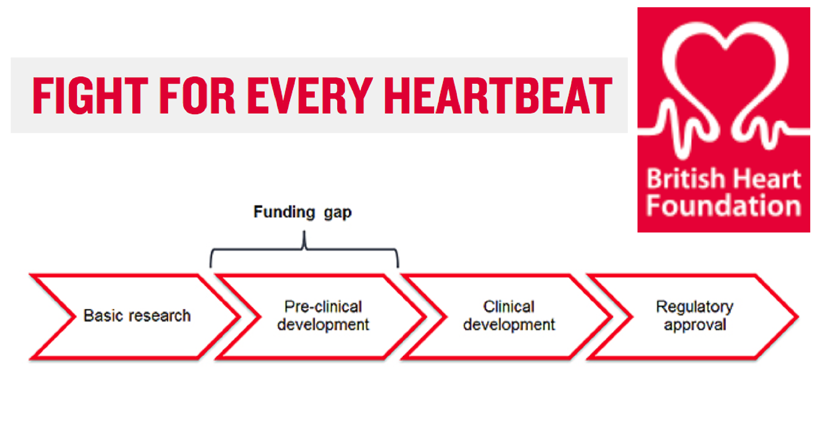 Bhftranslationweb - British Heart Foundation (818x428), Png Download