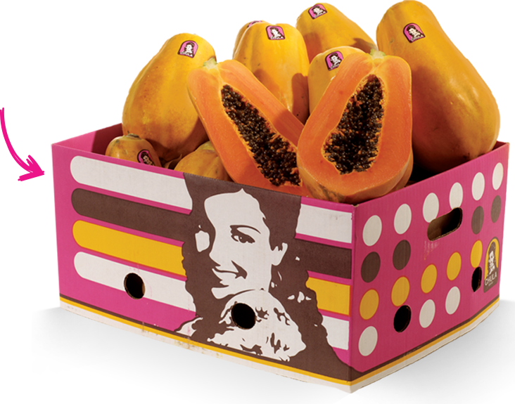 Types - Chula Brand Papayas (732x575), Png Download