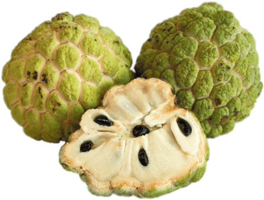 Download - Custard Apple (657x480), Png Download