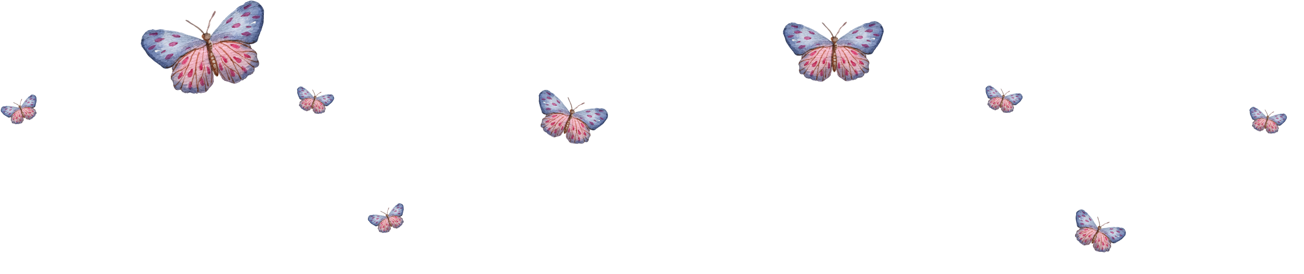 Follow Me On Instagram - Pieridae (2630x646), Png Download