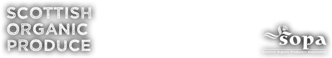 Paper Product (1080x420), Png Download