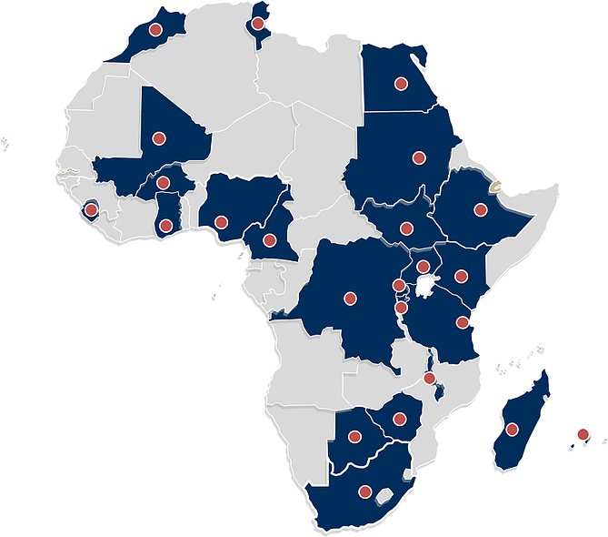 Africa - South Africa Tiger Brands (669x590), Png Download