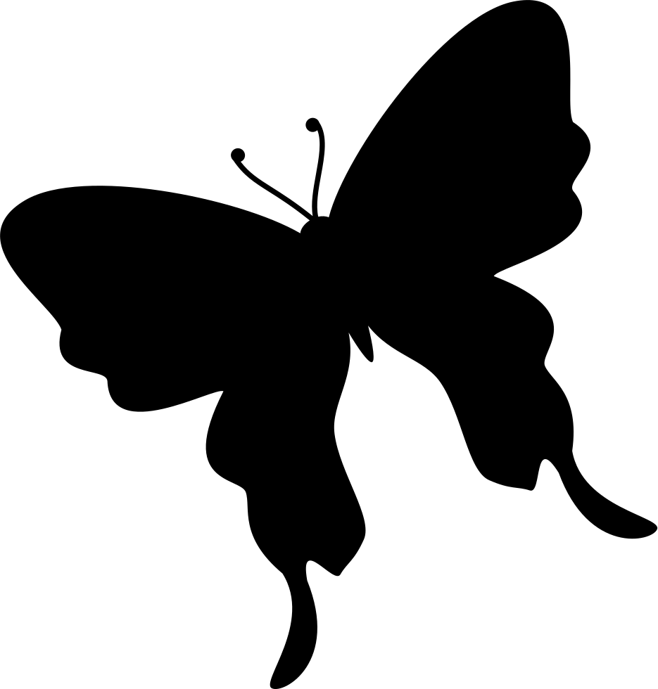 Butterfly Black Silhouette Shape From Top View Rotated (935x980), Png Download