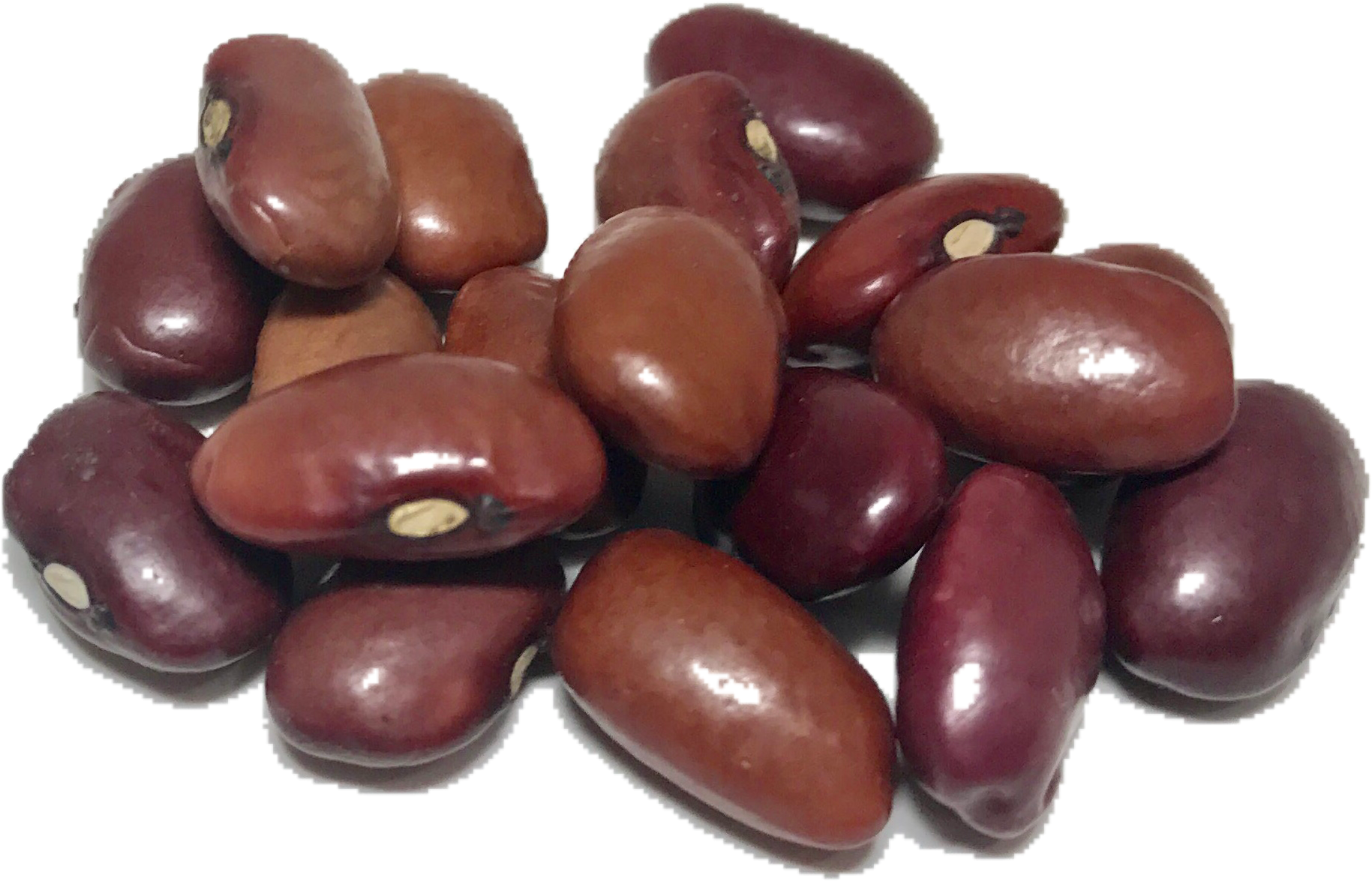 Dry Beans Png Transparent - Kidney Beans (2136x2136), Png Download