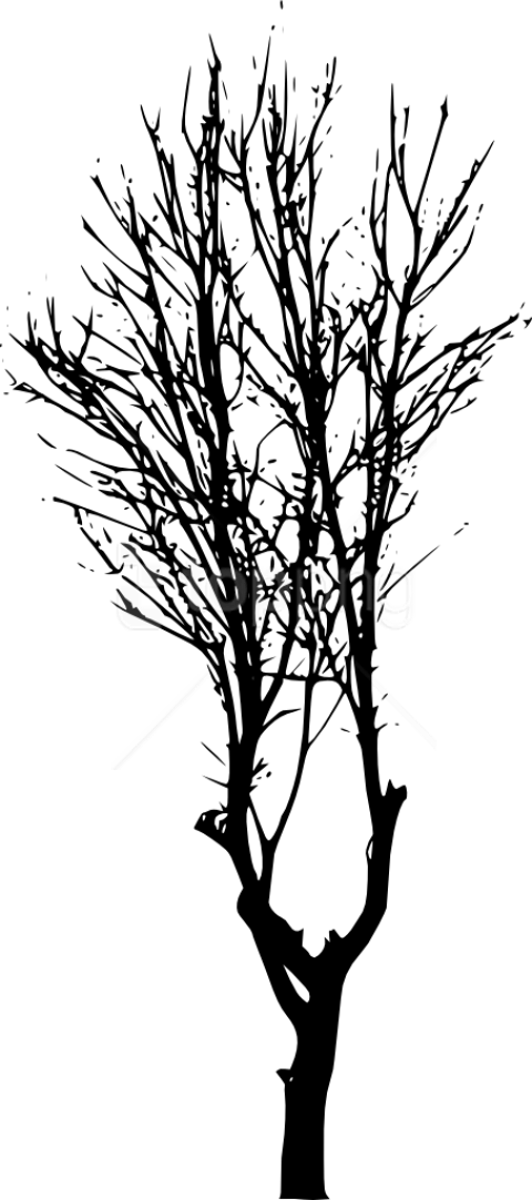 Free Png Tree Silhouette Png - Silhouette (480x1083), Png Download
