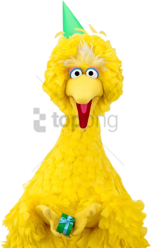 Free Png Big Bird Happy Birthday Png Image With Transparent - Big Bird Sesame Street Birthday (480x791), Png Download