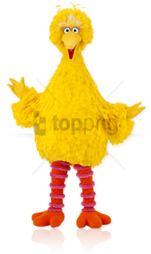 Free Png Download Big Bird High Resolution Png Images - Sesame Street Characters Big Bird (480x808), Png Download