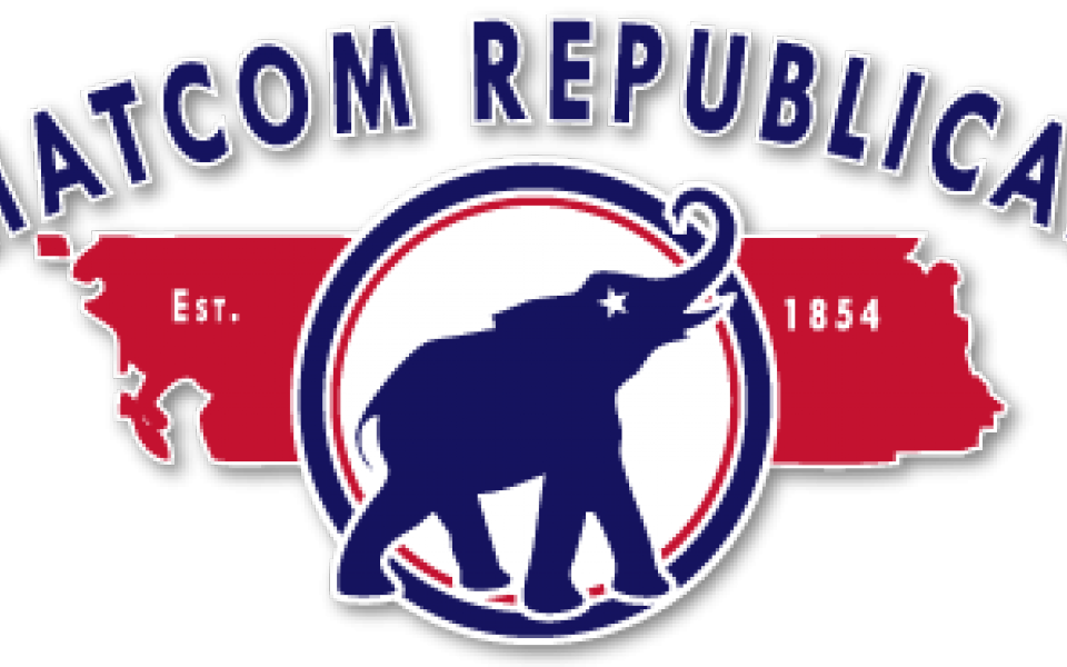 From Our Friends In The Whatcom Republican Party Comes - Indian Elephant (960x600), Png Download