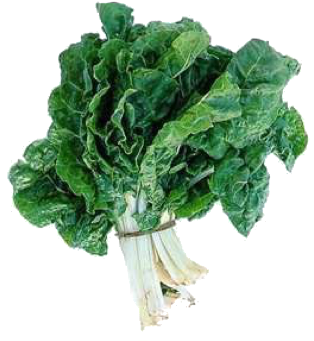 Spinach Sticker - Spinach And Leafy Greens (1024x1164), Png Download