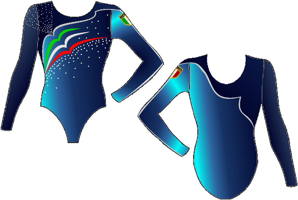 Leotard Italy 2013 - Body Gara Ginnastica Artistica (992x676), Png Download