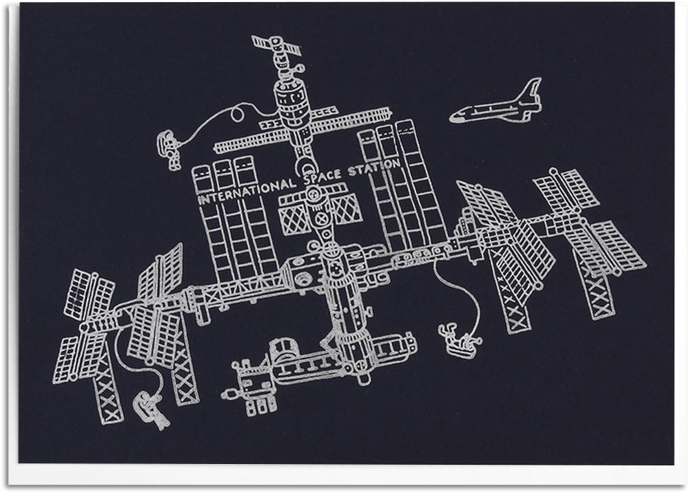 Space Station - Indian Elephant (1200x1600), Png Download
