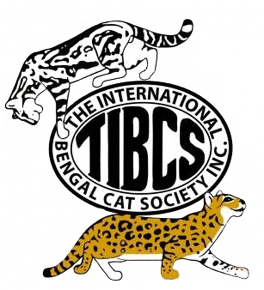 What Is The Tibcs Association - Alfonso National High School (866x954), Png Download