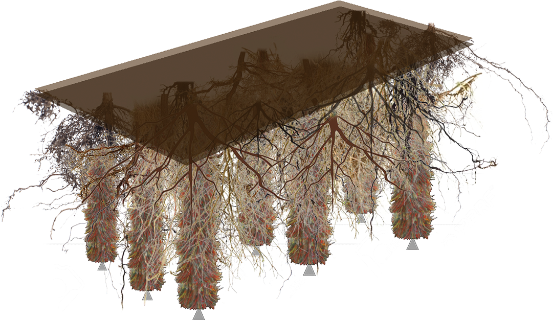 Increased Waterfront Value - Wood (1920x1080), Png Download