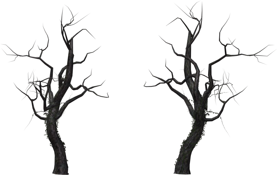 Share This - - Dead Tree Png (1024x645), Png Download