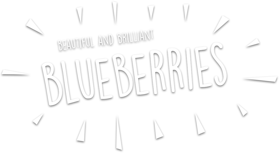 Blueberries Uk - Calligraphy (1120x620), Png Download