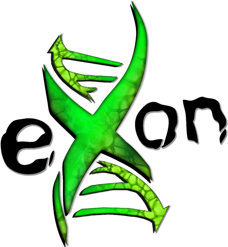 Ace Of Spades - Exon Esports (1000x1000), Png Download