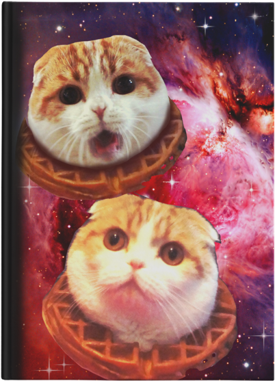 Space Waffles Hardcover Notebook - Scottish Fold (600x600), Png Download