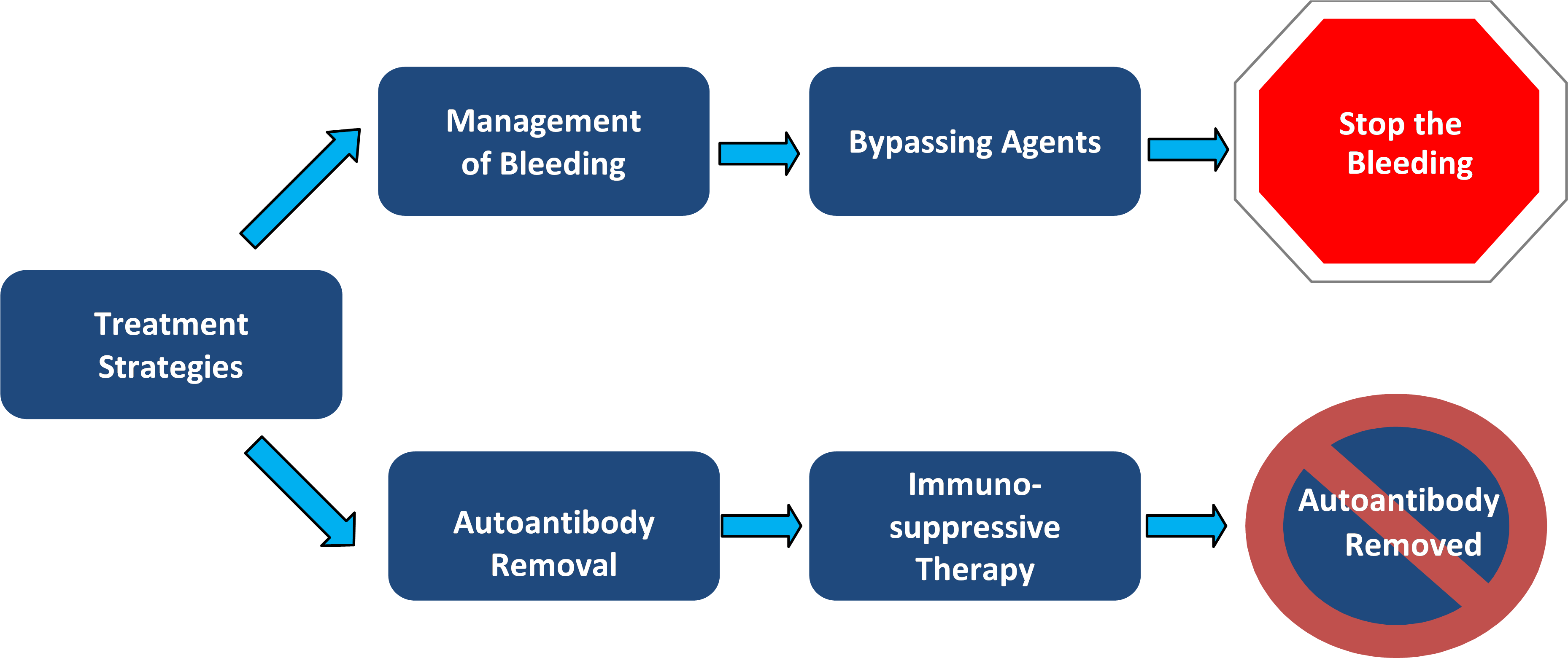 The Diagnosis And Clinical Management Of Each Person's - Acquired Hemophilia (3909x1663), Png Download